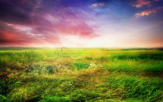 946162 (a): :2880x1800